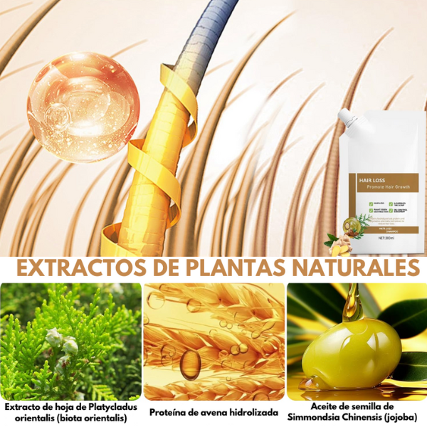 Anti-Hair Fall Shampoo - Anti-Caída y Reactivación Capilar